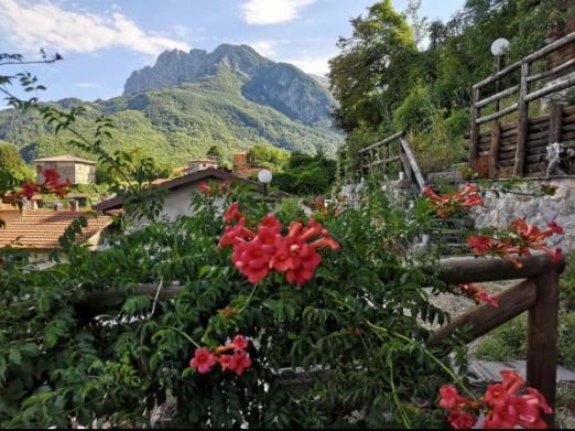 Agriturismo La Calamaia Gorfigliano 外观 照片